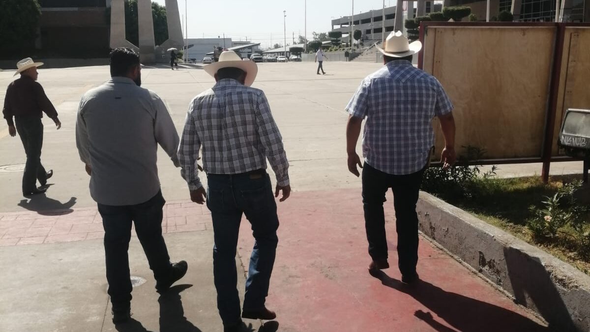 Piden trigueros  renegociación del precio del trigo.