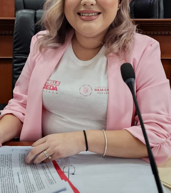 Pide diputada que escuelas privadas otorguen becas a grupos vulnerables.