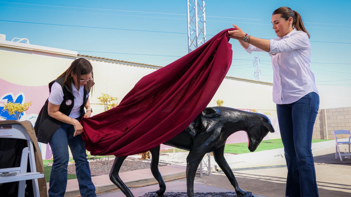 CELEBRA PRIMER AÑO DEL SANTUARIO ANIMAL MILY GOBERNADORA MARINA DEL PILAR DANDO UNA NUEVA VIDA A PERROS Y GATOS
