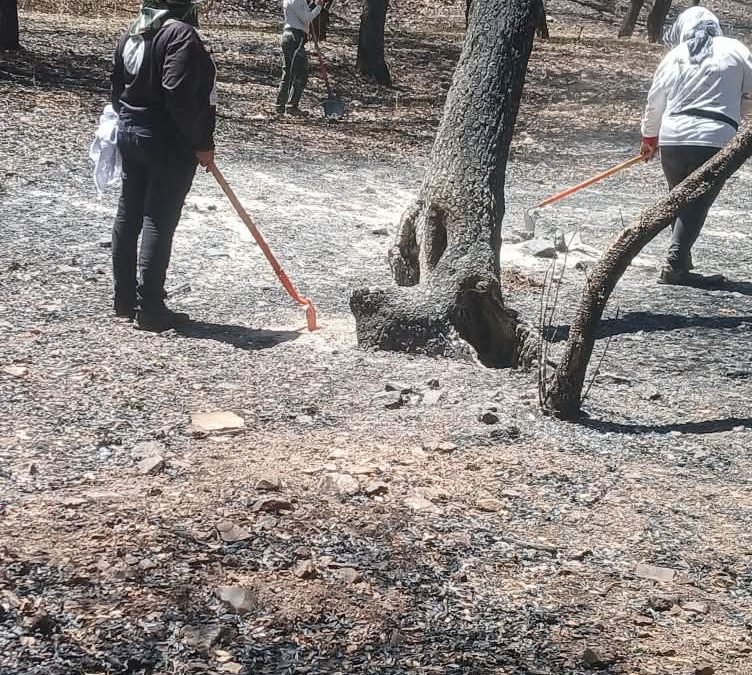 El calor complica las búsquedas de personas en Mexicali.